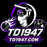 TD1947 Game